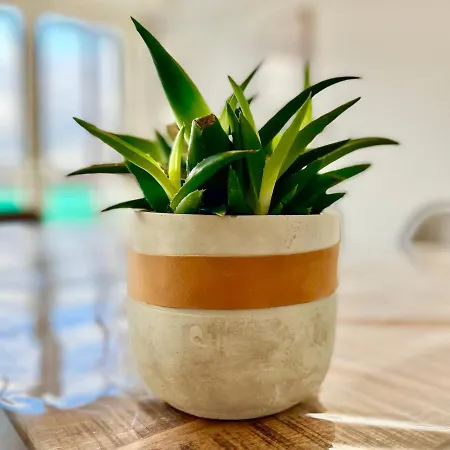 - La Cigogne - Balcon - Vue Degagee - Netflix - Wifi Fibre - Parking Gratuit - Quartier Populaire *