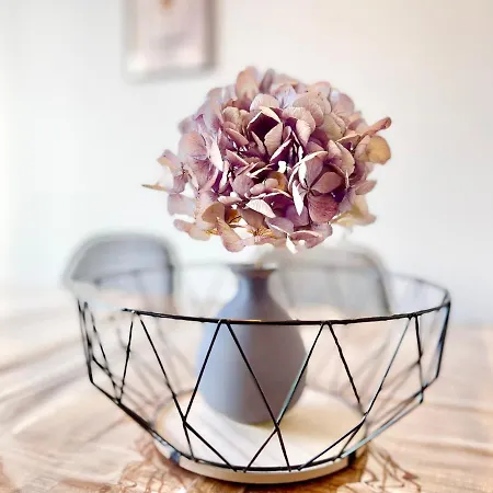 - La Cigogne - Balcon - Vue Degagee - Netflix - Wifi Fibre - Parking Gratuit - Quartier Populaire Appartement *