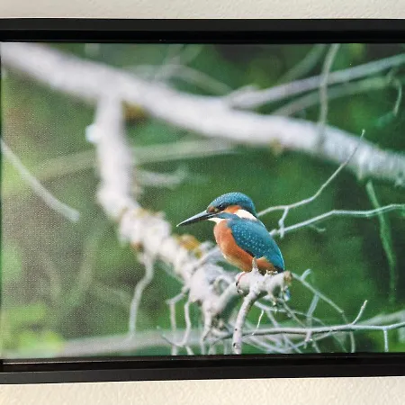 - La Cigogne - Balcon - Vue Degagee - Netflix - Wifi Fibre - Parking Gratuit - Quartier Populaire Colmar