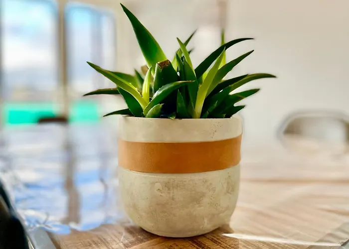 - La Cigogne - Balcon - Vue Dégagée - Netflix - Wifi Fibre - Parking Gratuit - Quartier Populaire *