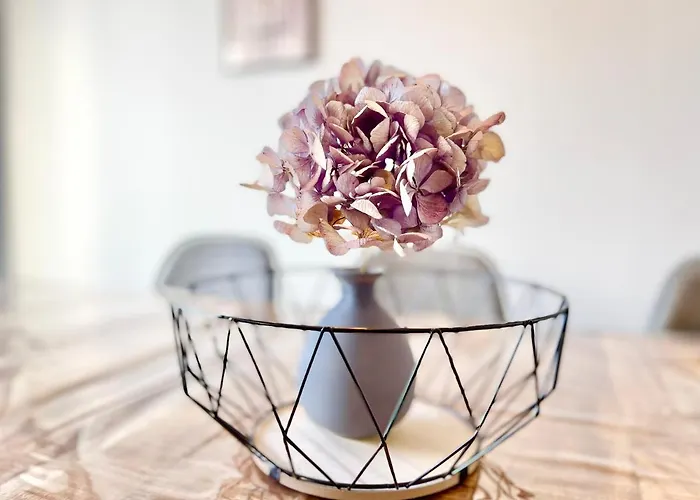 - La Cigogne - Balcon - Vue Dégagée - Netflix - Wifi Fibre - Parking Gratuit - Quartier Populaire Appartamento *