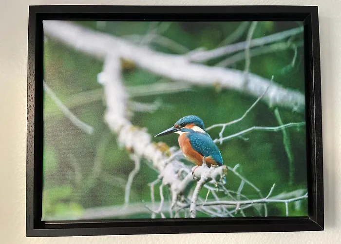 - La Cigogne - Balcon - Vue Dégagée - Netflix - Wifi Fibre - Parking Gratuit - Quartier Populaire Colmar